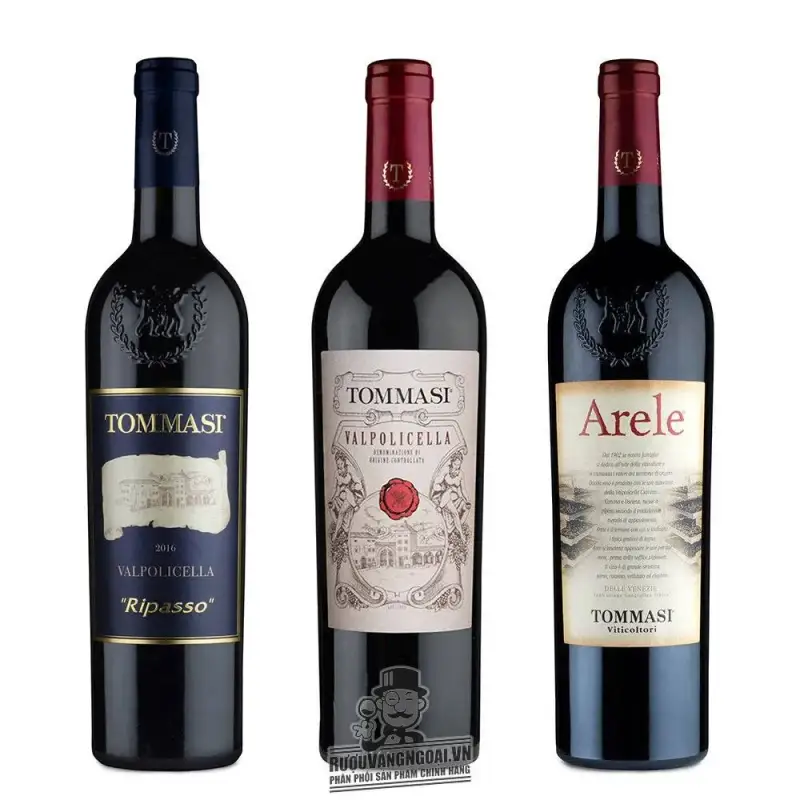 Vang Ý Tommasi Arele Appassimento Delle Venezie