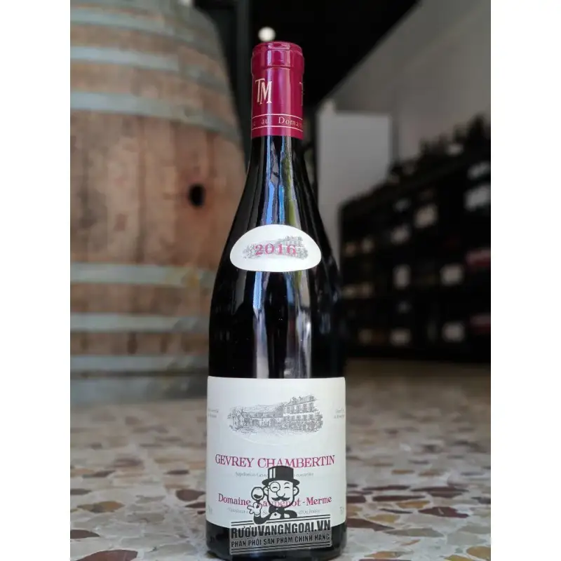 Vang Pháp Domaine Taupenot Merme Gevrey Chambertin