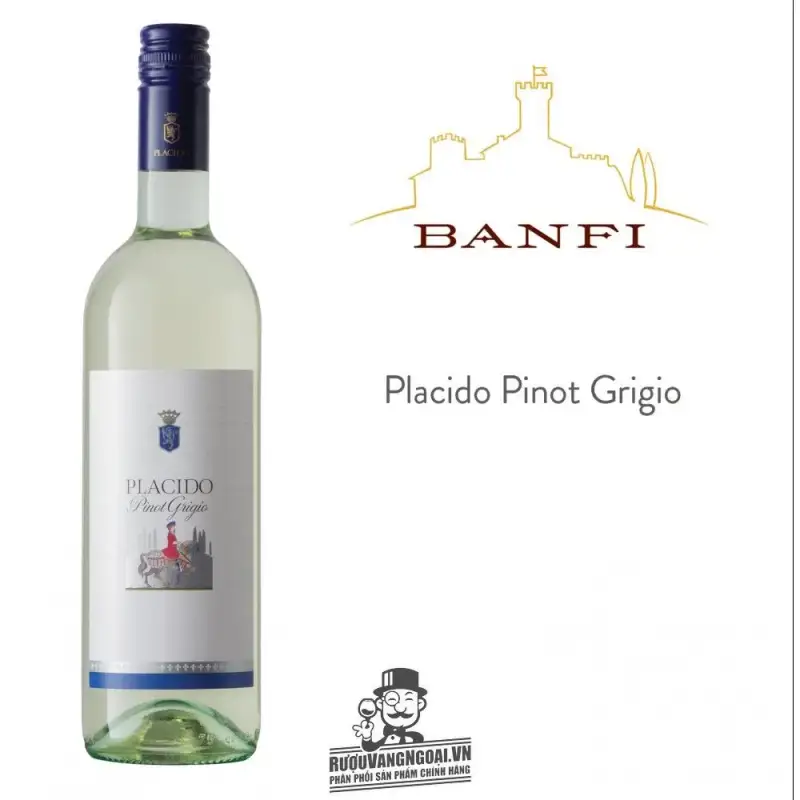 Vang Ý Placido Pinot Grigio Banfi Thượng hạng