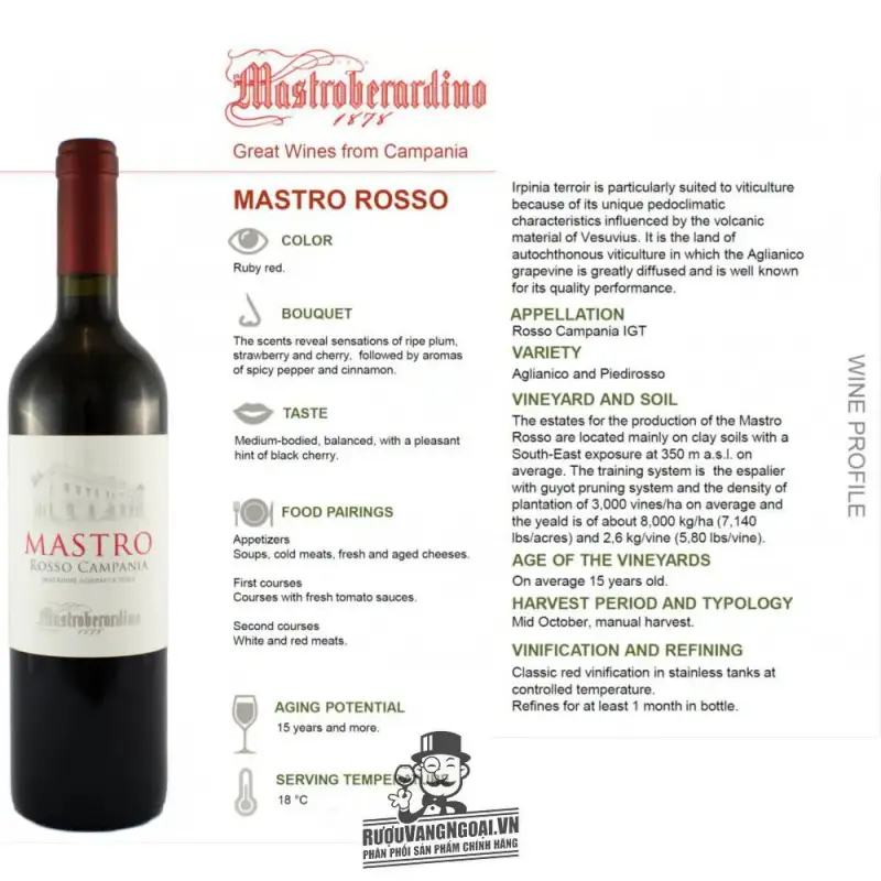 vang y mastro rosso campania mastroberardino mua ở đâu giá rẻ nhất