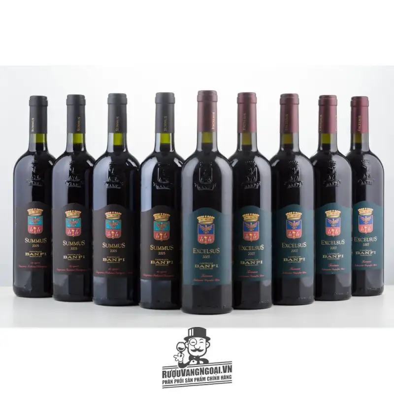 Địa chỉ bán vang y summus castello banfi giá rẻ tại Sài Gòn