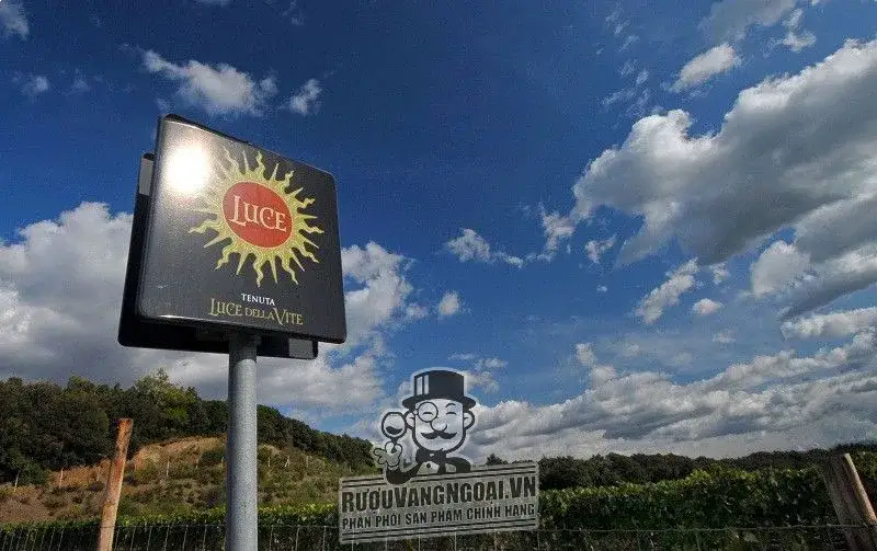 Vang Ý LUCE DELLA VITE
