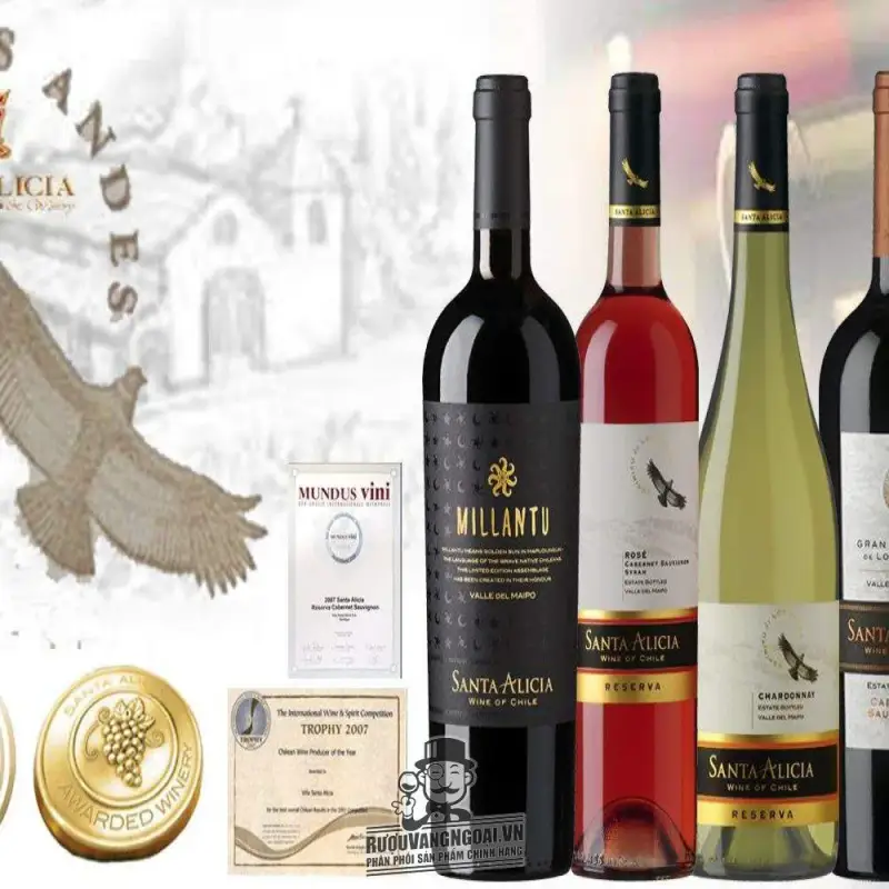 vang chile santa alicia reserva red white chiet khau cao mua ở đâu giá rẻ nhất