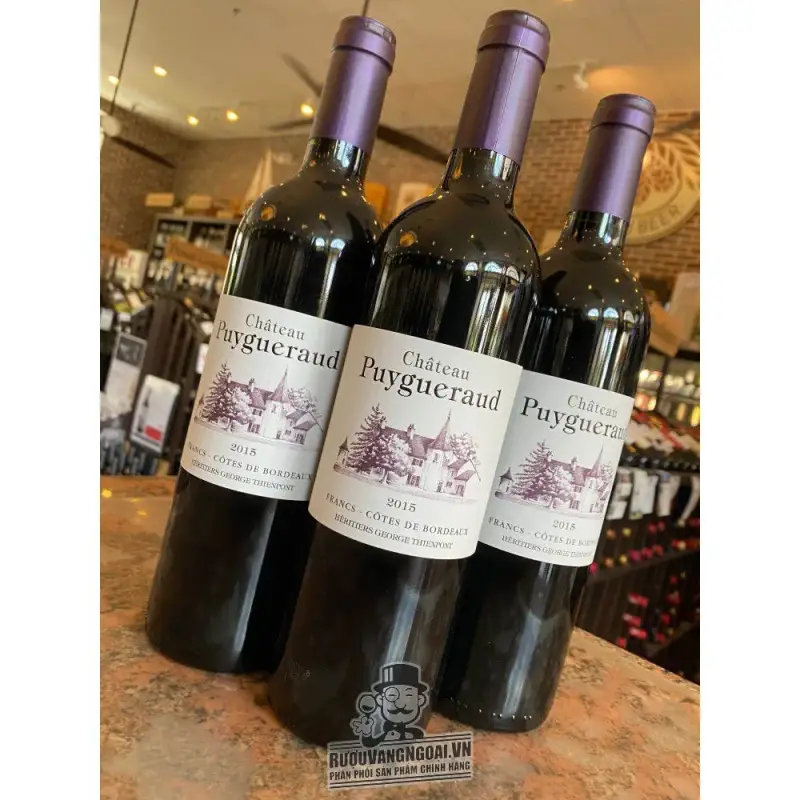 Địa chỉ bán vang phap chateau puygueraud francs cotes de bordeaux giá rẻ tại Sài Gòn