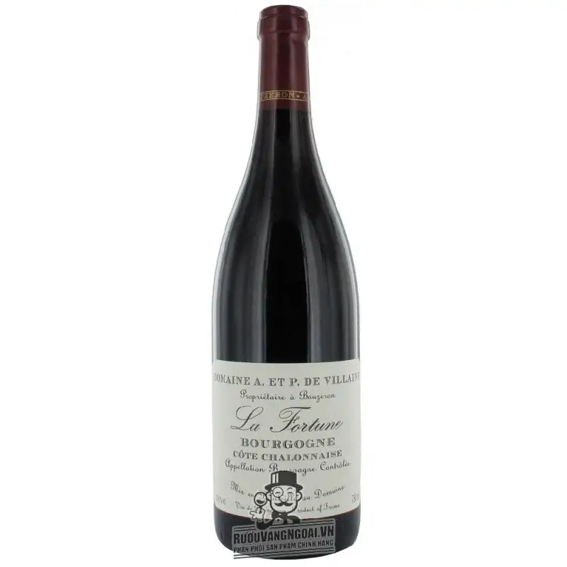 Vang Pháp Domaine A Et P de Villaine La Fortune Bourgogne thượng hạng