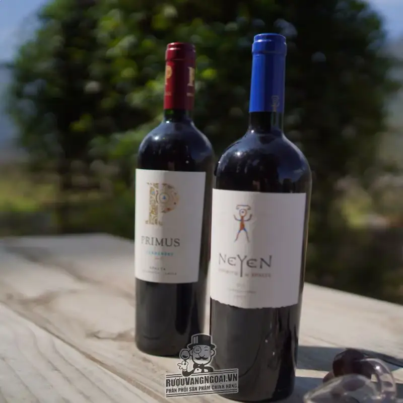 Mua vang chile neyen espiritu de apalta giá rẻ tại Sài Gòn