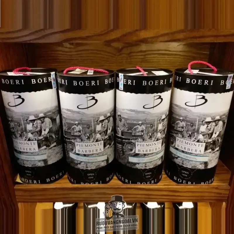 Vang Bịch Ý BOERI PIEMONTE BARBERA 3L