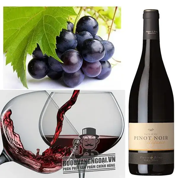 Địa chỉ bán vang phap pinot noir pays d oc elegance giá rẻ nhất