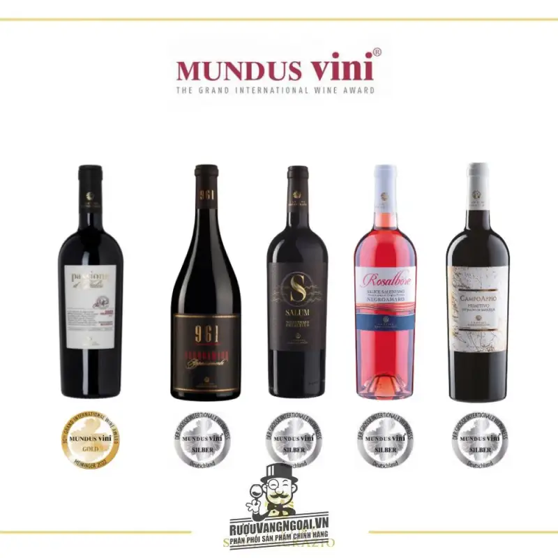 vang y passione ditalia cantine san pancrazio mua ở đâu giá rẻ nhất