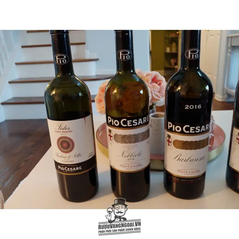 Địa chỉ bán vang y pio cesare fides barbera d alba giá rẻ nhất