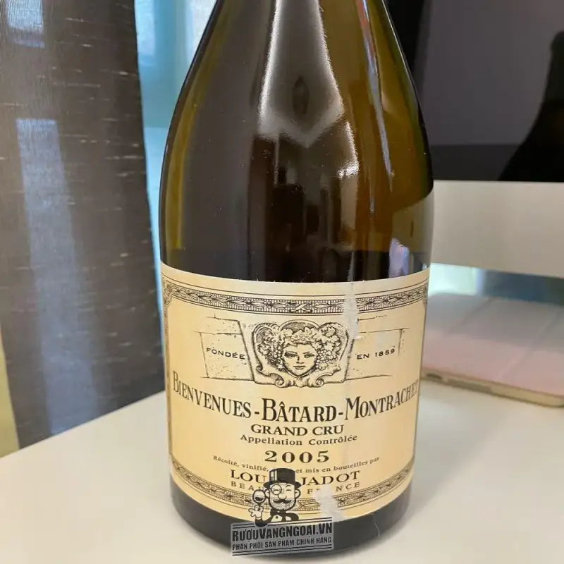 Mua vang phap bienvenues batard montrachet louis jadot ở đâu giá rẻ nhất