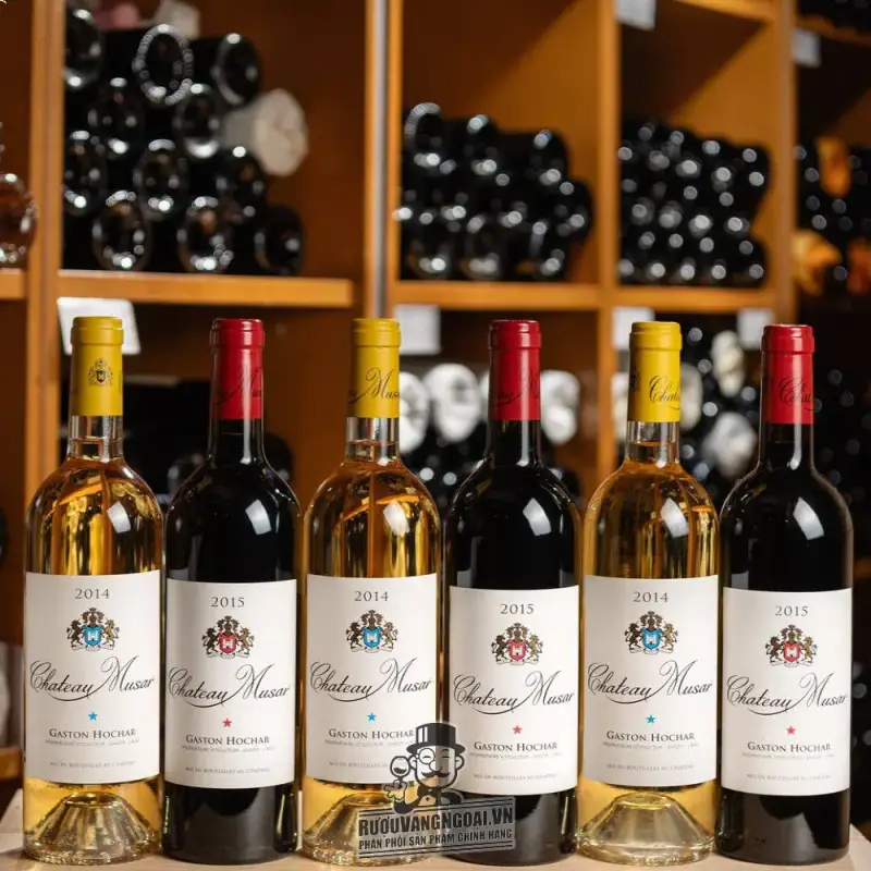 Địa chỉ bán vang chateau musar gastin hochar giá rẻ tại Hà Nội