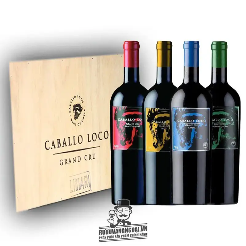 vang chile caballo loco grand cru maipo andes giá bao nhiêu