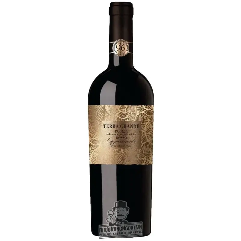 VANG Ý TERRA GRANDE PUGLIA ROSSO APPASSIMENTO