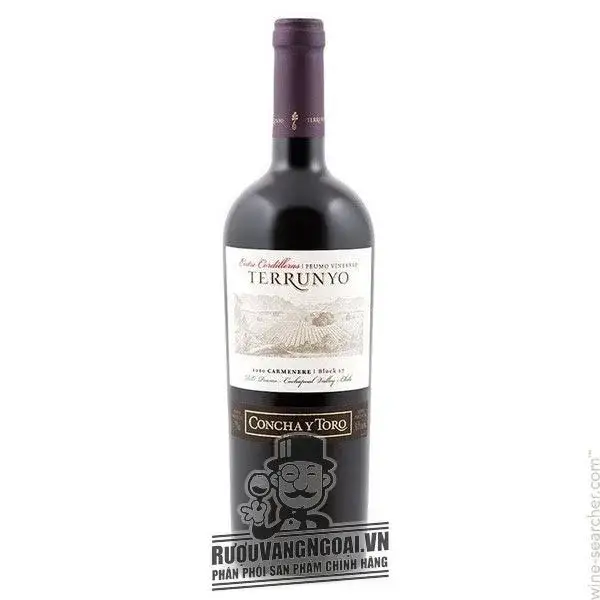 Vang Chile Terrunyo Carmenere Block 27 Concha Y Toro