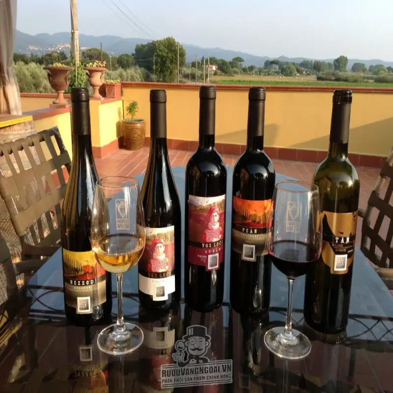 Mua vang y batzella tam bolgheri superiore giá rẻ tại Sài Gòn