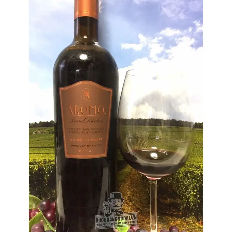 Địa chỉ bán vang chile aromo barrel selection blend giá rẻ tại Hà Nội