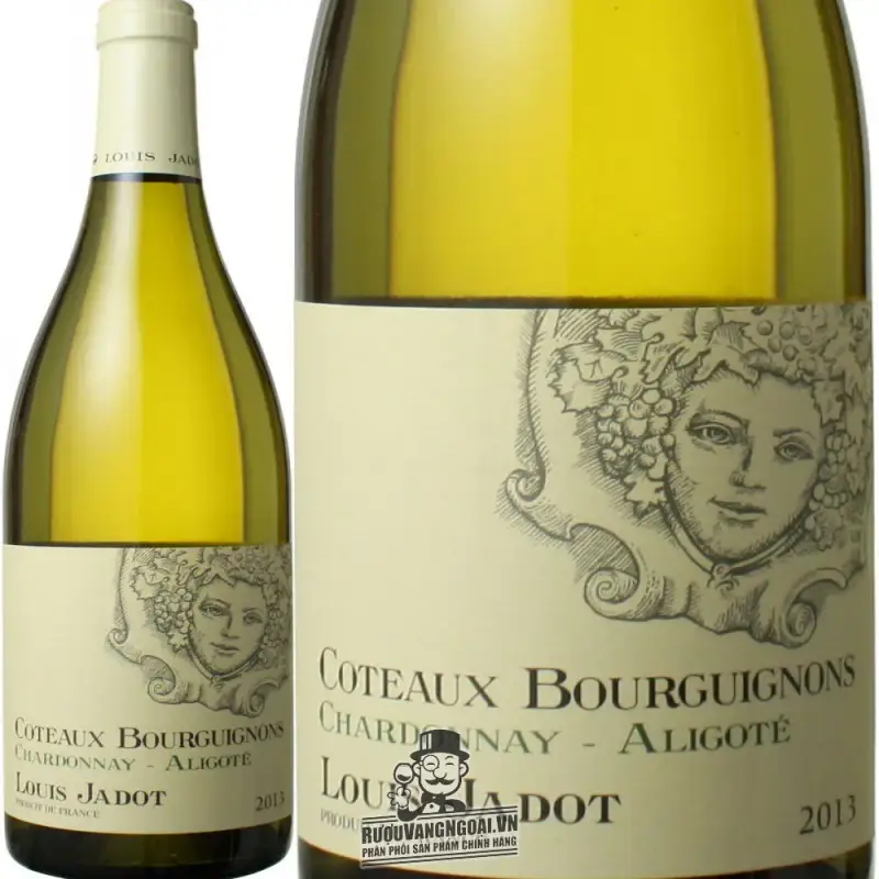 Mua vang phap coteaux bourguignon louis jadot trang ở đâu giá rẻ nhất