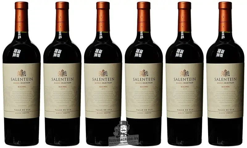 Vang Argentina SALENTEIN Barrel Selection Malbec