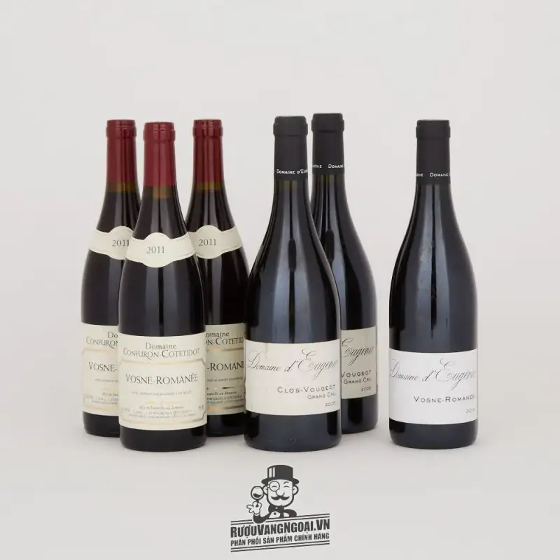 Mua vang phap domaine deugenie vosne romanee giá rẻ tại Sài Gòn