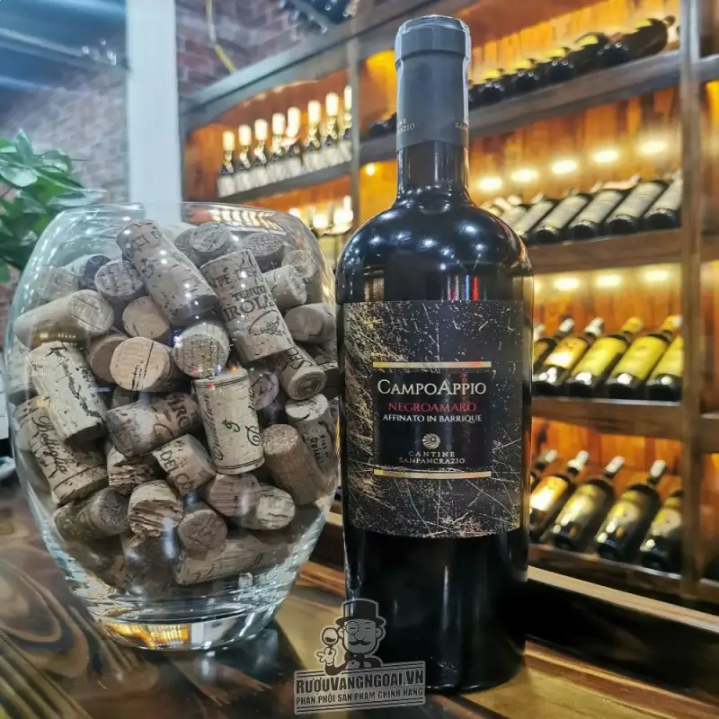 Rượu Vang Ý CAMPO APPIO NEGROAMARO