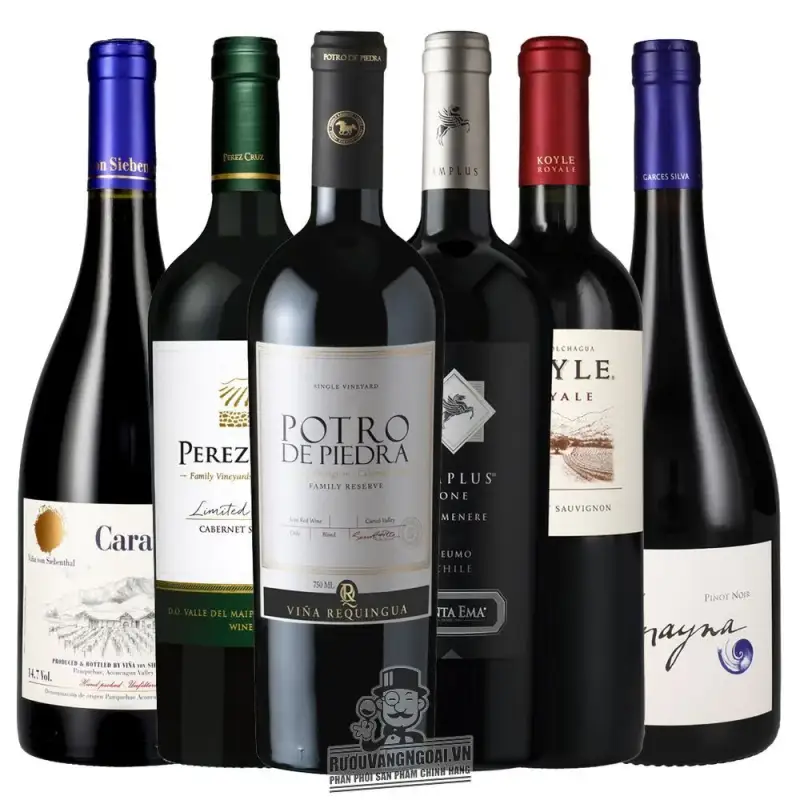 vang-chile-koyle-royale