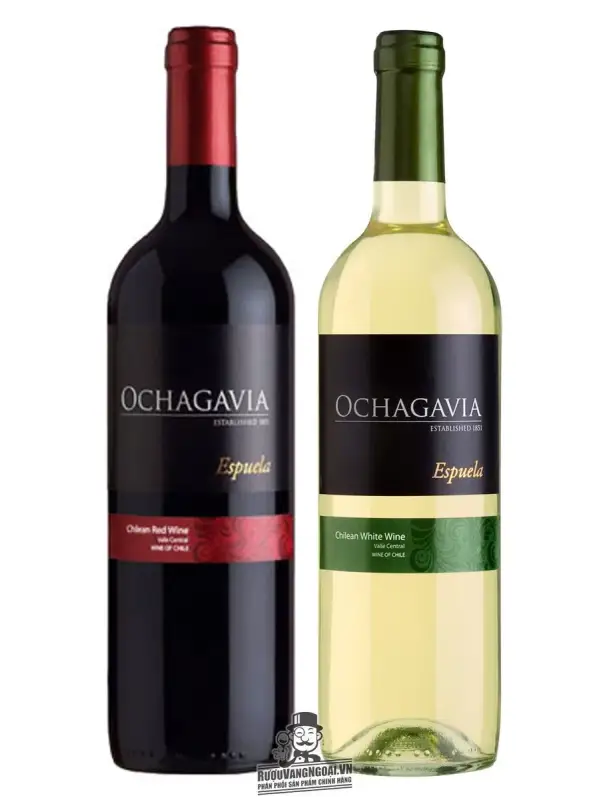 Káº¿t quáº£ hÃ¬nh áº£nh cho vang chile ochagavia espuela white