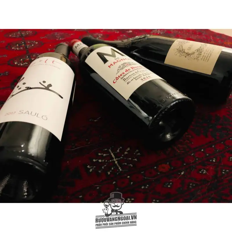Mua vang phap m de magnol barton guestier cotes de bordeaux giá rẻ tại Hà Nội