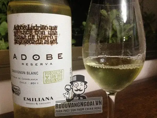 Vang Chile ADOBE Reserva Sauvignon Blanc