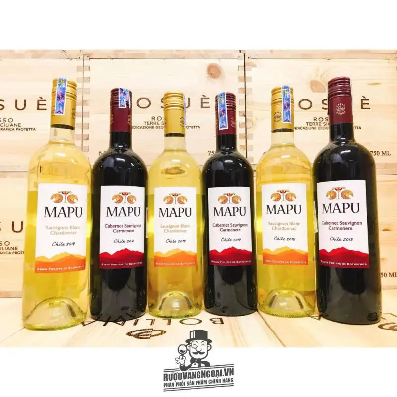 Vang Chile Mapu Baron Philippe de Rothschild Đỏ - Trắng