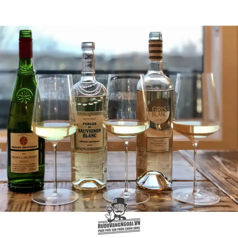 vang phap terroir picpoul de pinet gerard bertrand mua ở đâu giá rẻ nhất