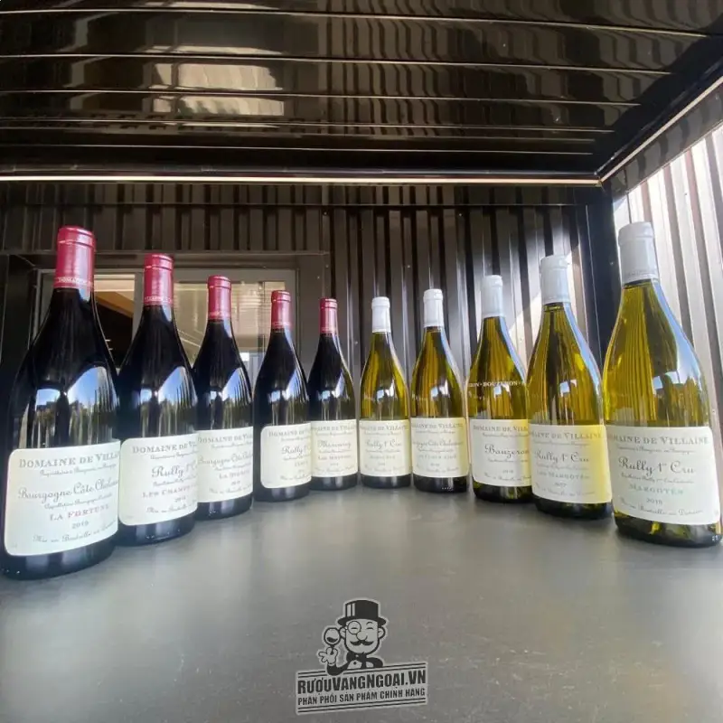 Vang Pháp Domaine Villaine Montpalais Rully 1st Cru