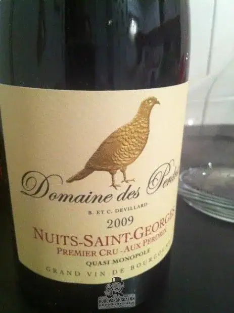 Vang Pháp Domaine Des Perdrix Nuits Saint Georges