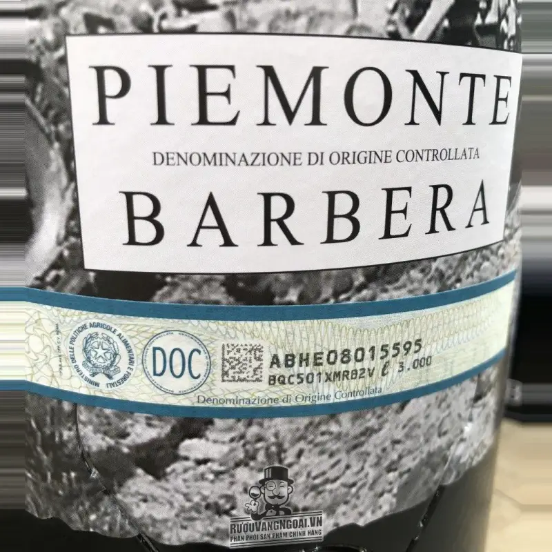 Rượu vang Bịch Ý Boeri Piemonte Barbera DOC 3L