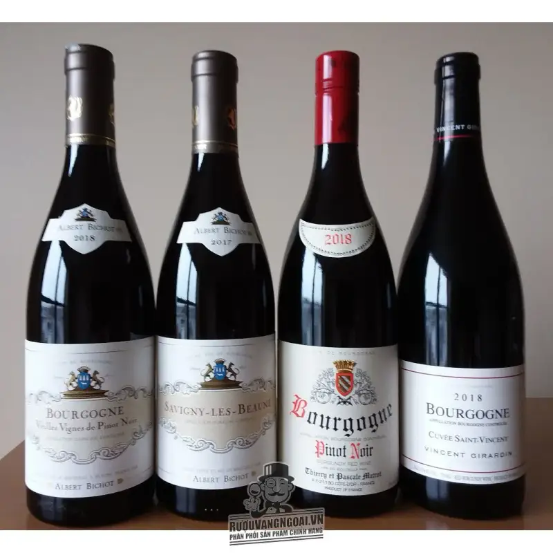 vang-phap-gevrey-chambertin-albert-bichot
