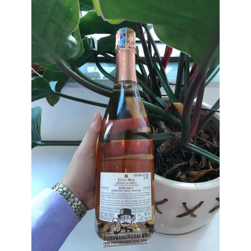 Mua vang no phap da cremant de limoux rose cao cap giá rẻ tại Hà Nội