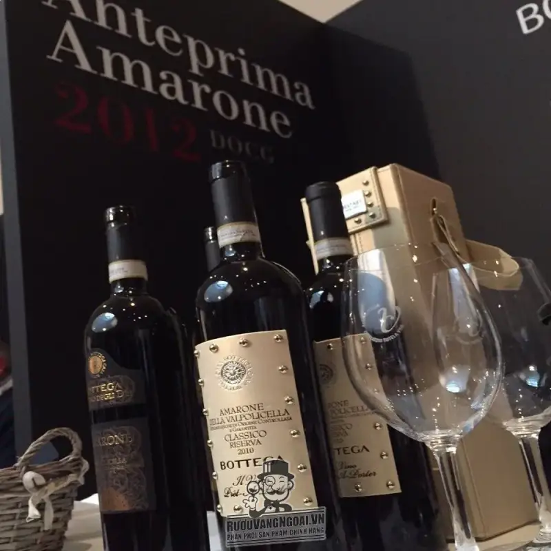 Vang Ý Amarone Bottega cao cấp