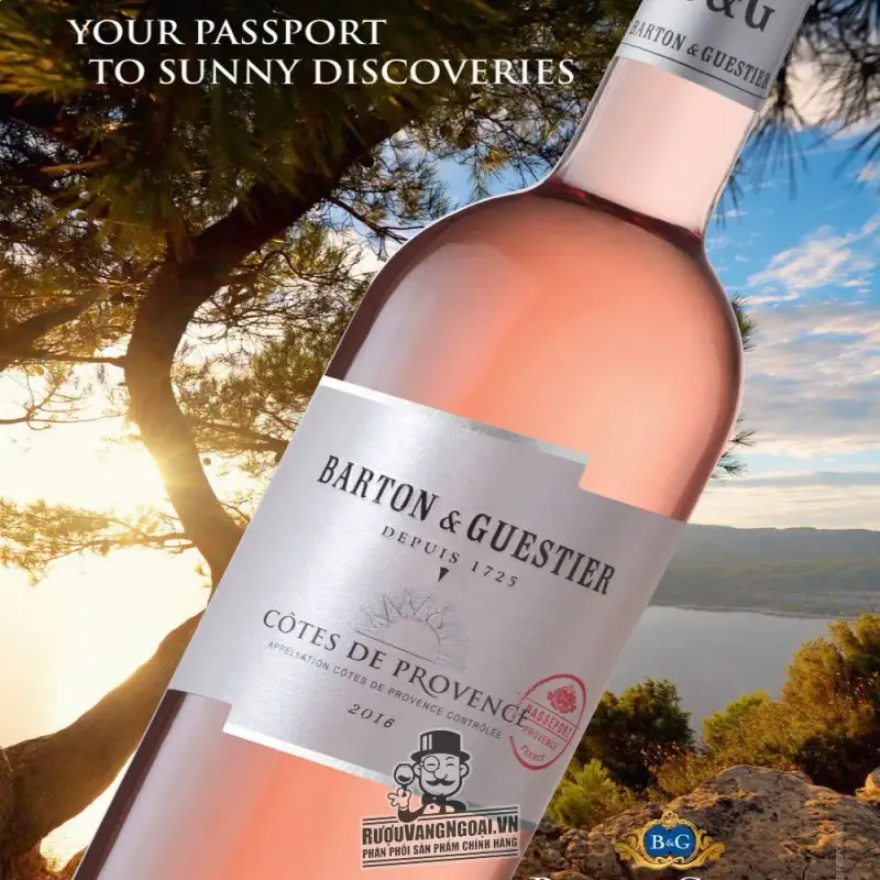 Địa chỉ mua vang phap barton guestier cotes de provence passeport cao cap giá rẻ nhất