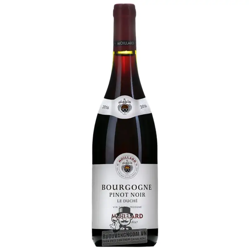 Vang Pháp Bourgogne Pinot Noir Moillard uống ngon