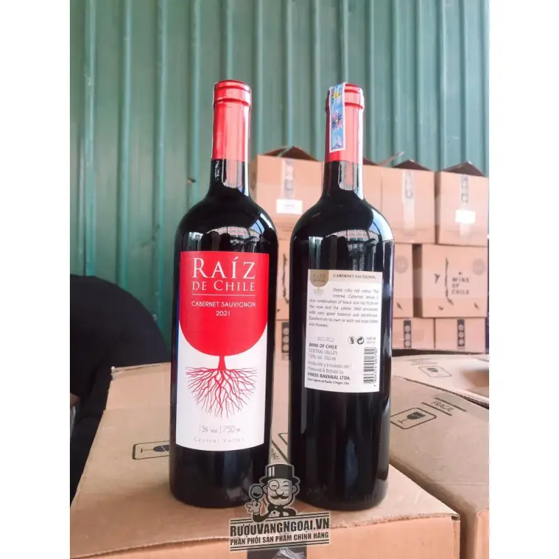 Địa chỉ mua vang chile raiz de chile cabernet sauvignon giá rẻ nhất