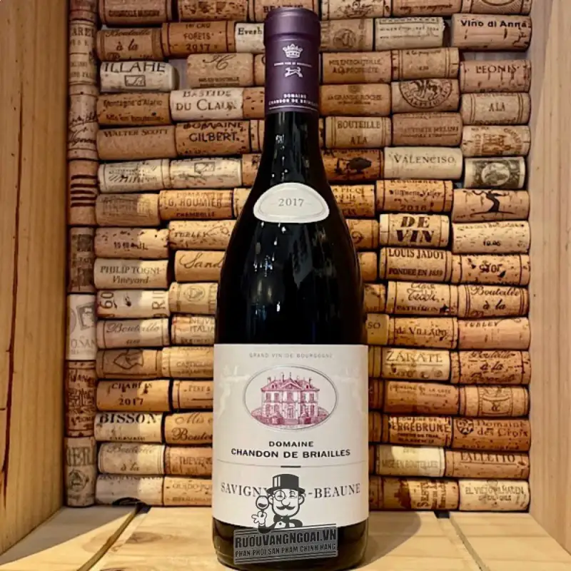 Địa chỉ bán vang phap savigny les beaune domaine chandon de briailles giá rẻ tại Sài Gòn