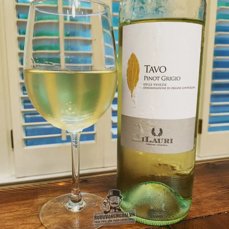 Địa chỉ mua vang y ilauri tavo pinot grigio giá rẻ nhất