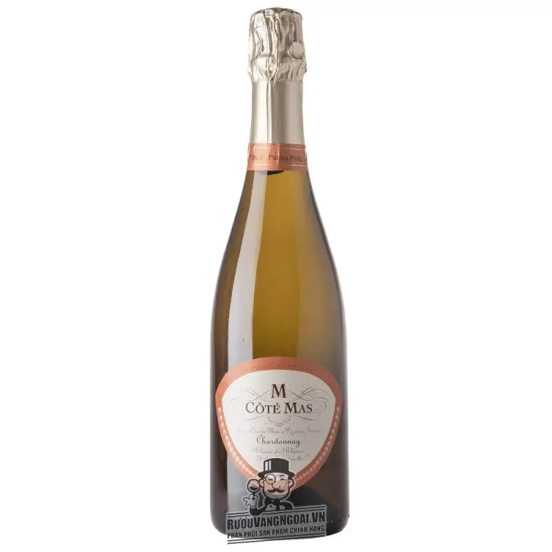 Vang Nổ Pháp Cote Mas Chardonnay Blanc De Blanc uống ngon