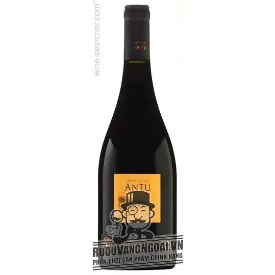 Vang Chile Montgras ANTU Syrah