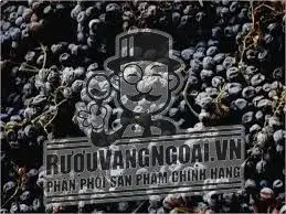 Hình ảnh có liên quan