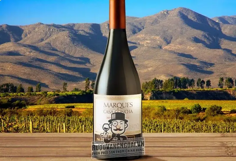 Vang Chile MARQUES CASA CONCHA Pinot Noir