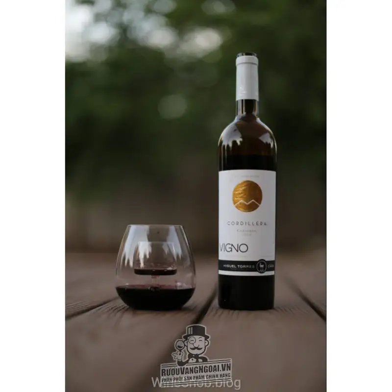 Địa chỉ mua vang chile cordillera carmenere migeul torres giá rẻ nhất