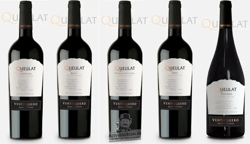 Vang Chile VENTISQUERO QUEULAT MERLOT