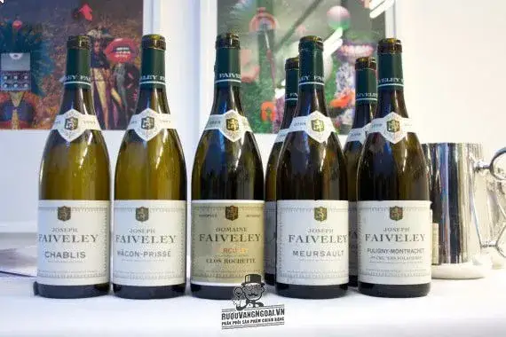 Vang Pháp Domaine Faiveley Mercurey