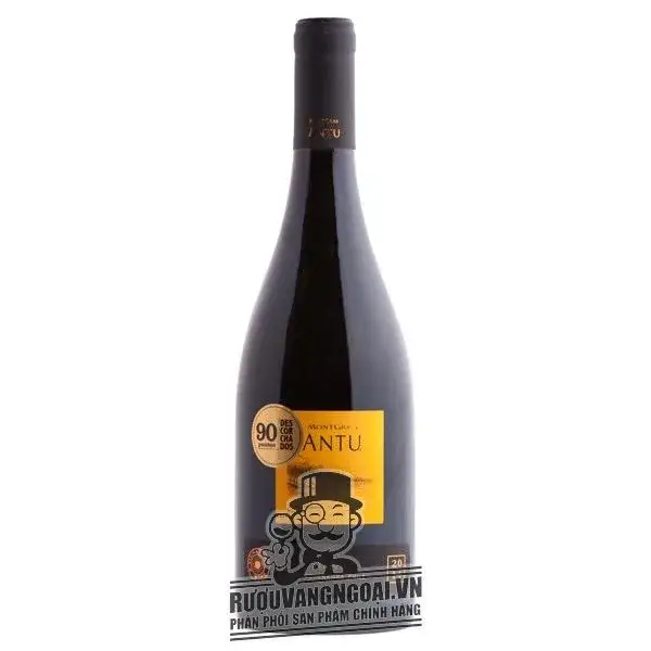 Vang Chile Montgras ANTU Syrah